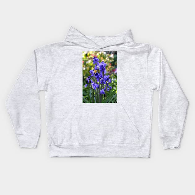 Spanish Bluebells Kids Hoodie by pinkal